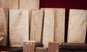 possession-of-cannabis