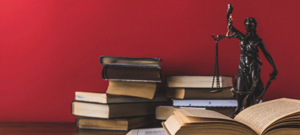 local law enforcement