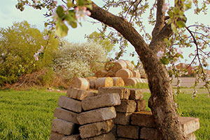 South African Receiver of Revenue