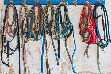 Nevada private correctional facilities