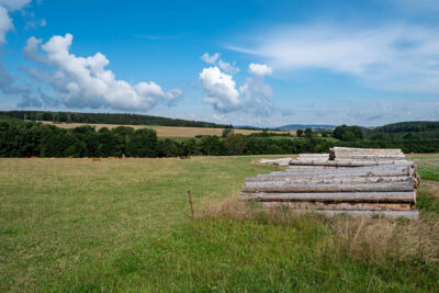 federal firearms charge