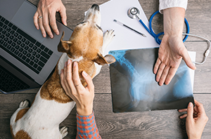 Vegas Defense Lawyer Explains Pointing Laser at Aircraft