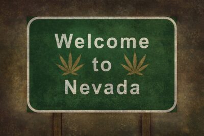 director of Nevada Cannabis Board