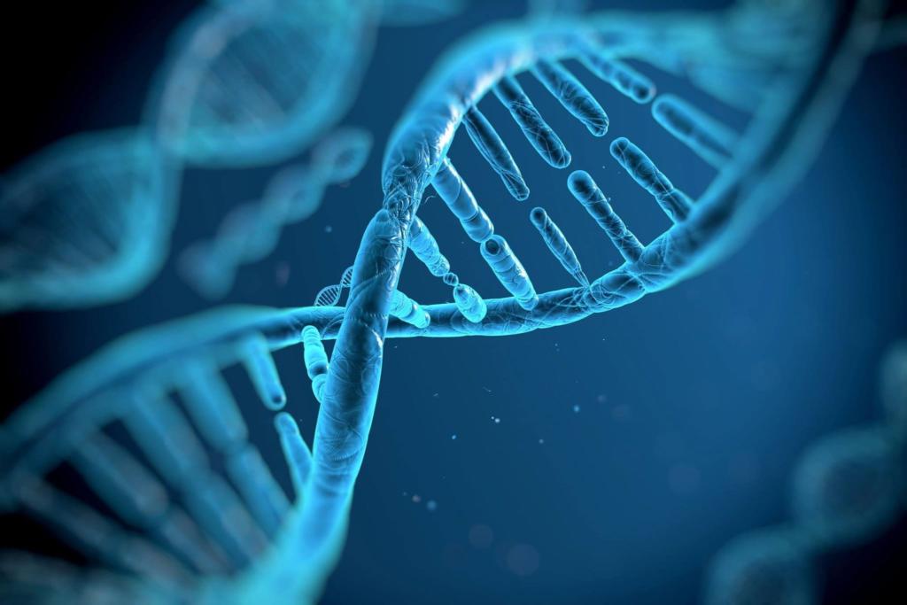 DNA in nevada criminal justice