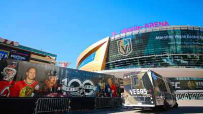 LV Golden Knights goalie charged